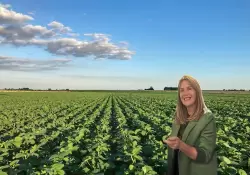 Edamame, el snack saludable que es furor en Europa, ancestral en Japn y en la Argentina tiene una produccin anual de 250 toneladas