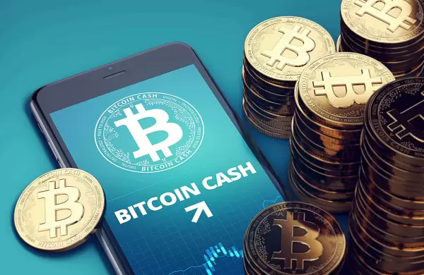 Fintech le responde al BCRA: enojo por falta de diálogo y aclaraciones sobre la medida que limita las crypto
