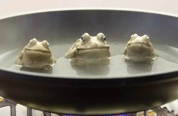 Cmo evitar el "sndrome de la rana hervida" en las organizaciones