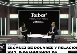 La escasez de dlares hace peligrar la industria del seguro?: "El riesgo es no poder pagar a las reaseguradoras"