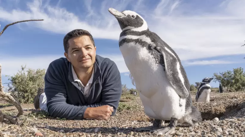 Juan Pablo García Borboroglu, pingüinos