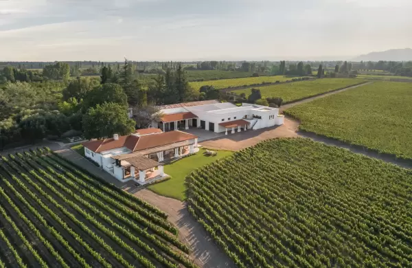 Regalos para el Da del Padre: los elegidos de Bodega Nieto Senetiner y Cadus