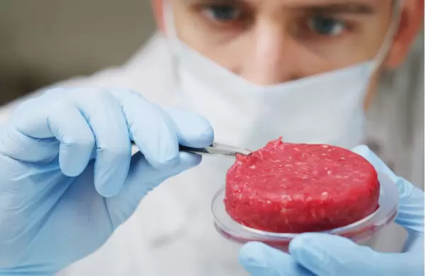 Cuáles son los mitos y los peligros detrás del negocio de la carne cultivada en laboratorio