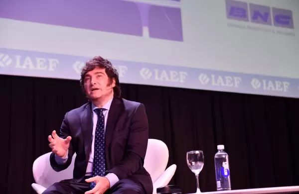 Javier Milei: "Una salida rpida del cepo implicara una hiperinflacin, la nica alternativa es la dolarizacin"