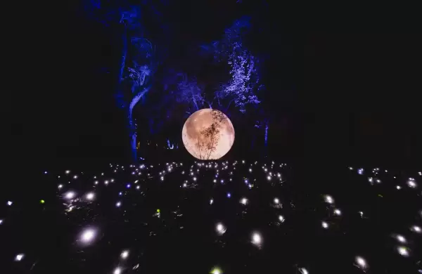 Secret Garden: cmo es la experiencia que transform al Jardn Botnico en un museo de luz al aire libre