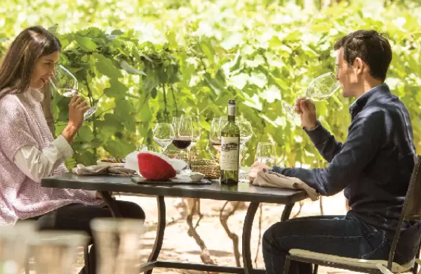 El enoturismo en la Argentina est en pleno auge y estas son las provincias ms visitadas
