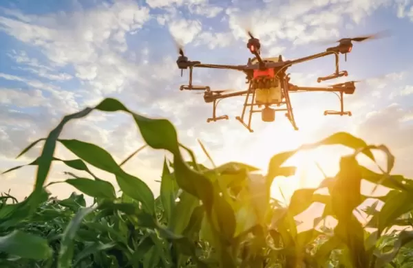 De la siembra al dato: cómo la tecnología está transformando la rentabilidad del agro