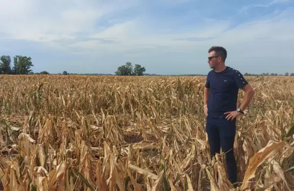 La agroindustria tambalea tras la sequía y las perspectivas no son para nada alentadoras