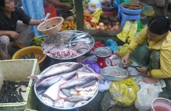Así es como los sistemas de agua dulce producen o influyen en más de la mitad del pescado consumido a nivel mundial