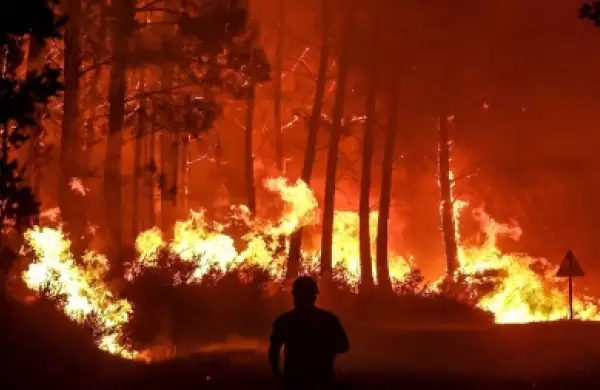 Acciones y fondos para inversores preocupados por la crisis climtica: qu tener en cuenta y cmo evitar malos negocios