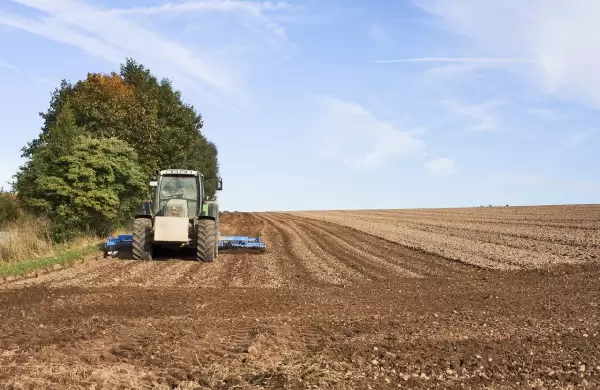 El cultivo estrella del 2023 que ahora tiene una campaña para el olvido