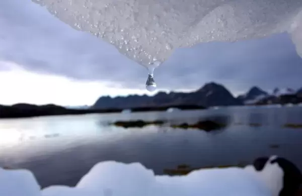 Pas congelado ms de 46.000 aos y fue "resucitado" por la ciencia para encontrar sorprendentes hallazgos