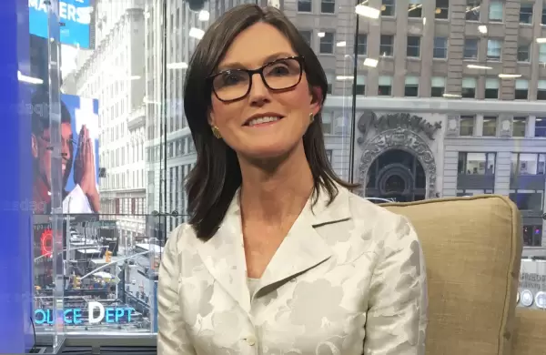 Por qu Cathie Wood vendi acciones de Tesla y deberas hacer lo mismo?