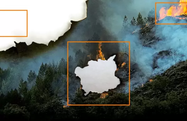 Los capitales de riesgo están detrás de las "firetech". el nuevo objeto del deseo