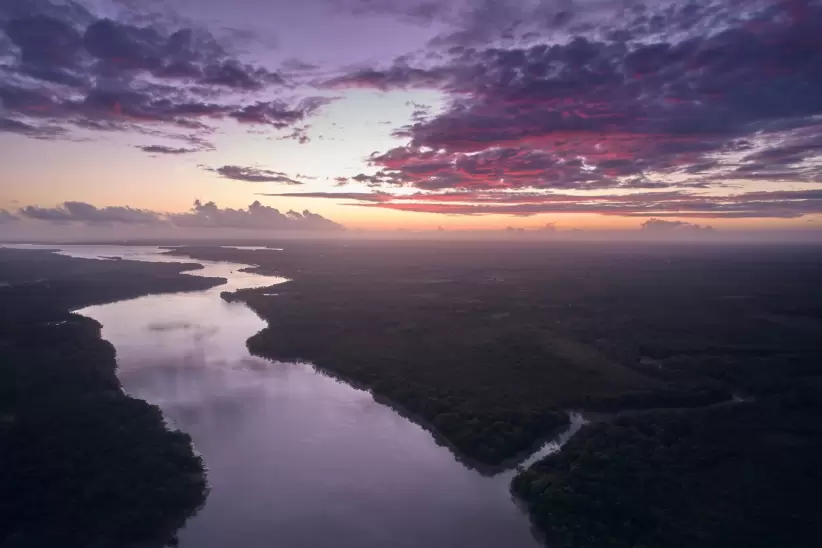 Rolex National Geographic Amazonas