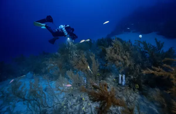 El poder de las profundidades