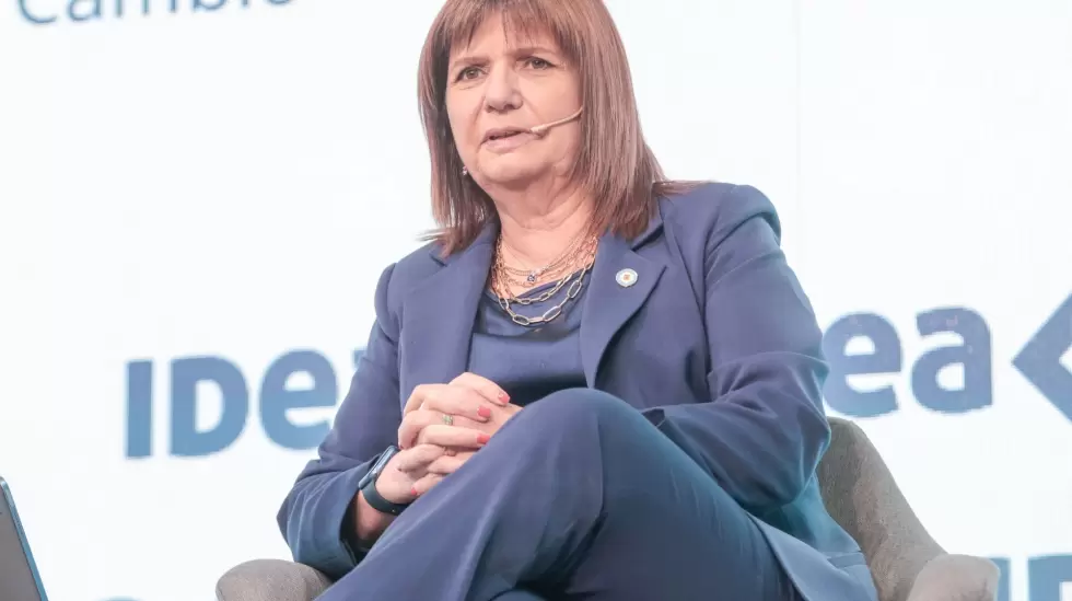 Patricia Bullrich, IDEA