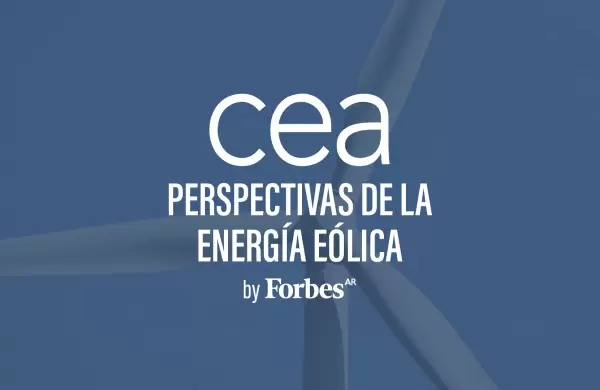 Un Futuro Renovable: Perspectivas de la Energía Eólica