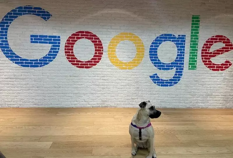 Google, Alphabet, Ranking