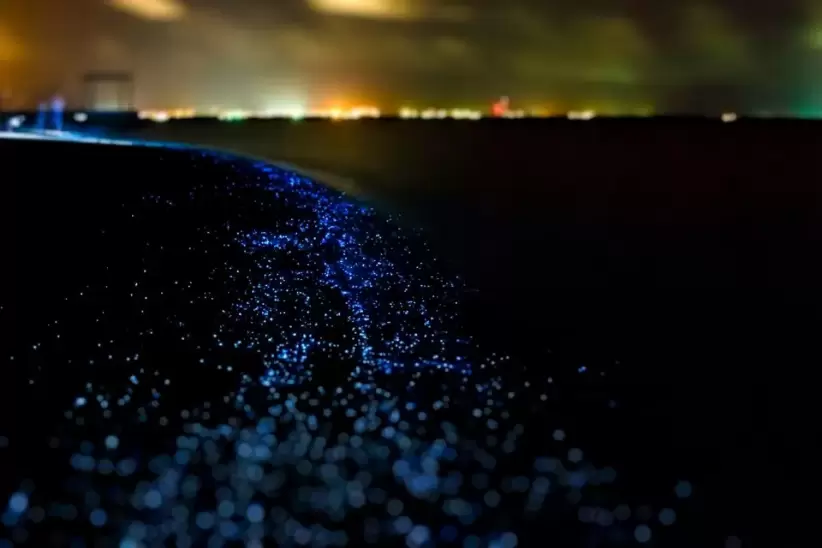 Maldivas mar fluorescencia