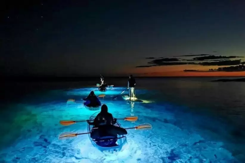 kayak bioluminiscente