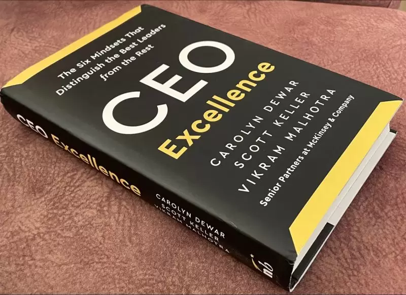 CEO Excellence libro