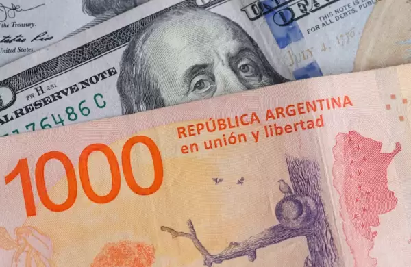 Dólar vs. tasas: qué hacer con los pesos a una semana de las elecciones