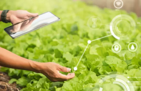 Agricultura 4.0: escalabilidad sustentable en entornos digitalizados