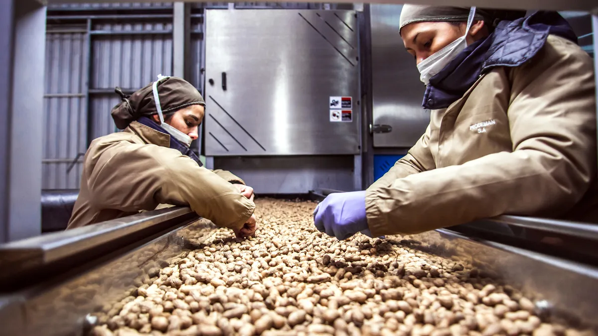 Las contundentes cifras que rodean a la producción y exportación de maní en  la Argentina - Forbes Argentina