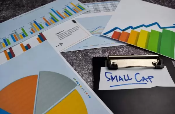 Cuál es esta impactante cartera de pequeña capitalización que rinde un 12%