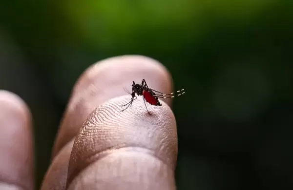 El virus que ya estaba en Argentina, llegó a China y desata una ola de cuarentenas