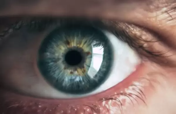 Cómo prevenir la retinopatía diabética, que afecta a 500 mil argentinos y es la causa de ceguera más frecuente en edad laboral