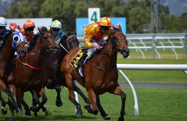 Qu sectores "inusuales" usan pronsticos meteorolgicos en la toma de decisiones