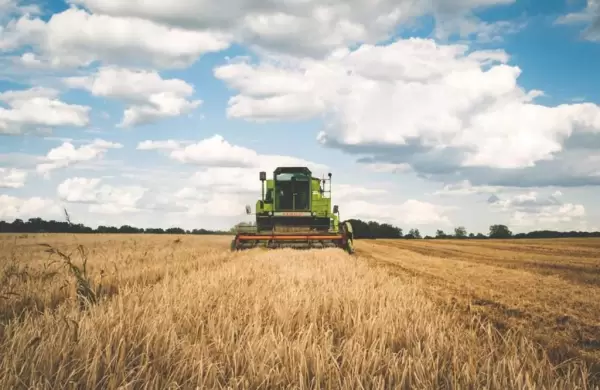 Cómo es el RIDA, el régimen de incentivos al agro que debate el Congreso