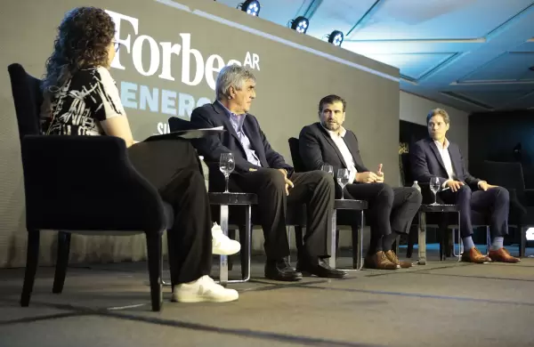 Cules son los escenarios para que la Argentina se sume a la revolucin global del litio y el cobre