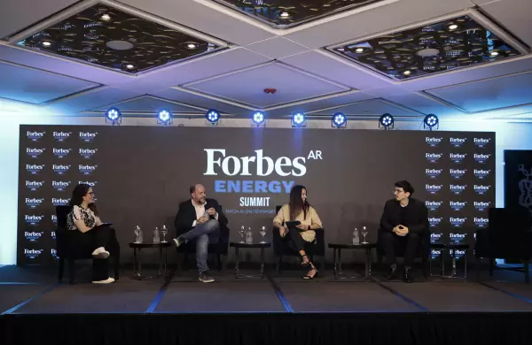 Las energas renovables y el desafo de cmo reencontrar el camino de crecimiento