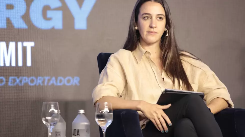 summit energy - noviembre 2023 - 5to panel -  energias renovables - agustina jef