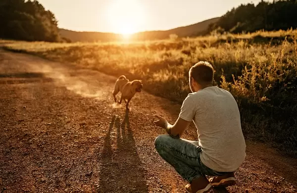 De voluntaria en un refugio a fundadora de una causa que protege animales cuando sus dueos ya no estn