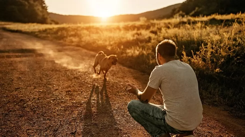 Personas con mascotas, perros.