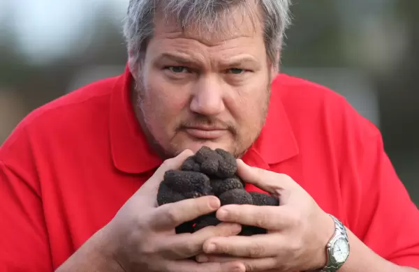 Trufas en la Argentina: oportunidades de inversin para un negocio que se expande