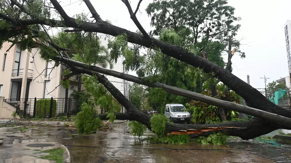 tormenta cortes