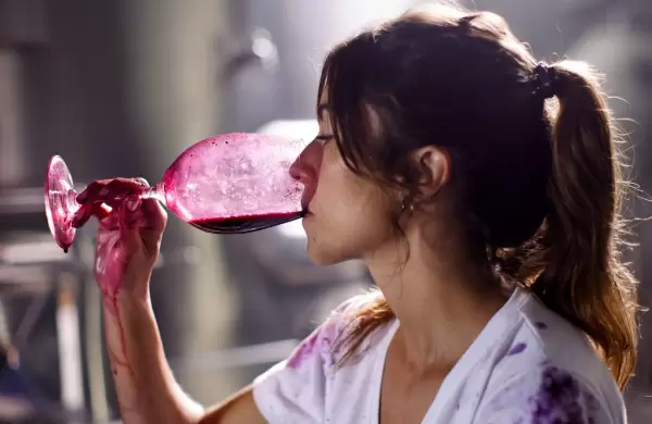 La nueva generación que está transformando la enología de las bodegas argentinas