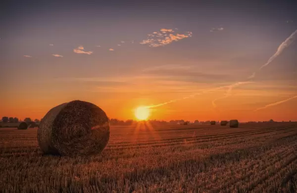 Inversin inmobiliaria: el campo argentino vuelve a estar de moda