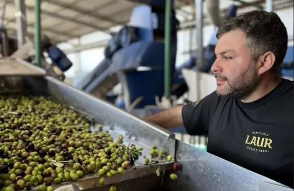 Por tercer ao consecutivo este aceite de oliva argentino se consagra como el mejor del mundo