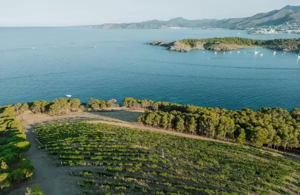 Las bodegas mediterrneas emplean soluciones dinmicas para reducir las emisiones y abordar el cambio climtico