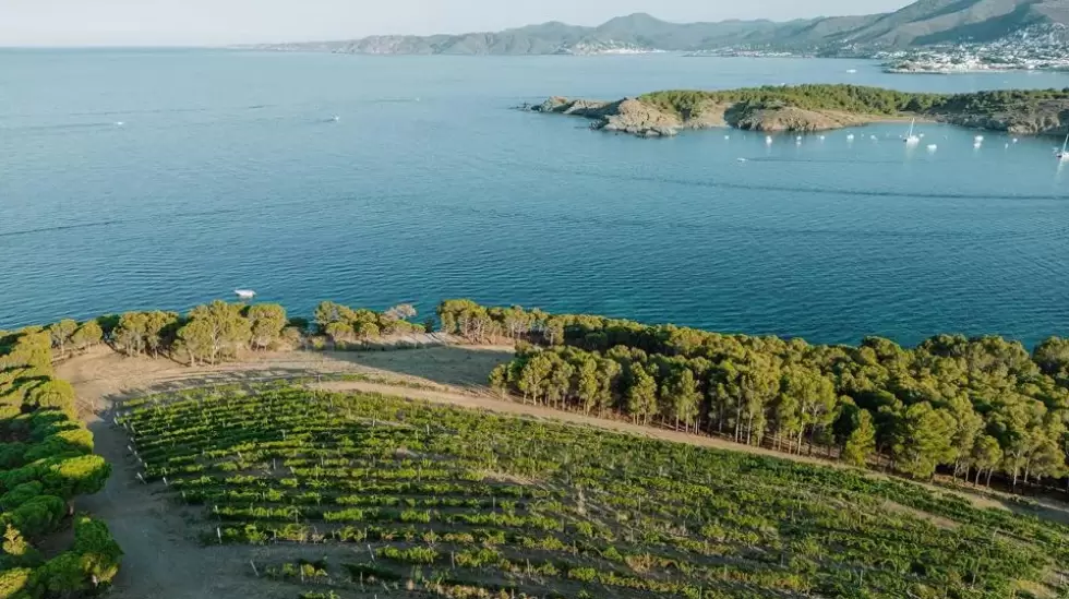 Bodegas, Cambio climtico, Energas Renovables