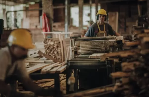 El sector maderero levant la voz en contra de la suba de las retenciones: "La rentabilidad no supera hoy el 5%"