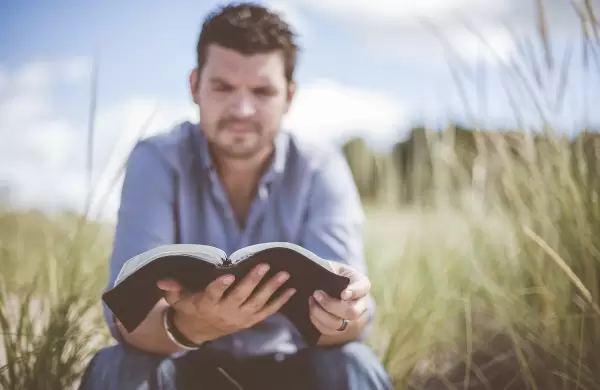 Cuatro libros imperdibles para que los CEO lean este verano