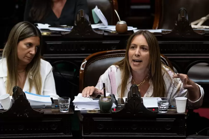 Eugenia Vidal en la cámara de Diputados