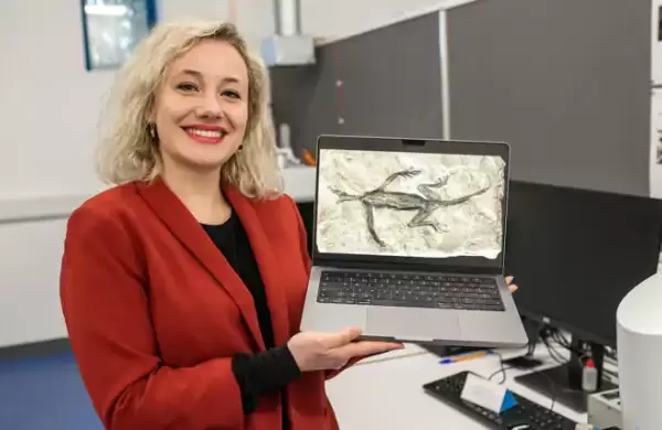 Cul es el "oscuro secreto" que esconde este desconcertante fsil de 280 millones de aos